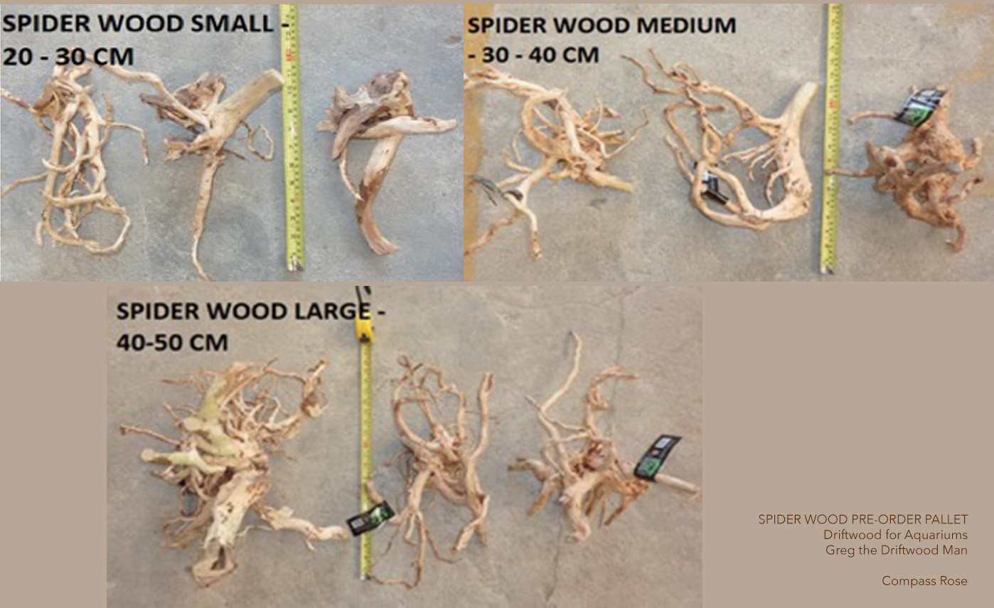 Spider Wood Driftwood Man