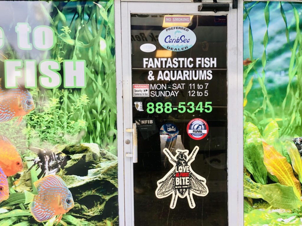 Aquarium4Driftwood Driftwood Client in Florida - Fantastic Fish and Aquariums