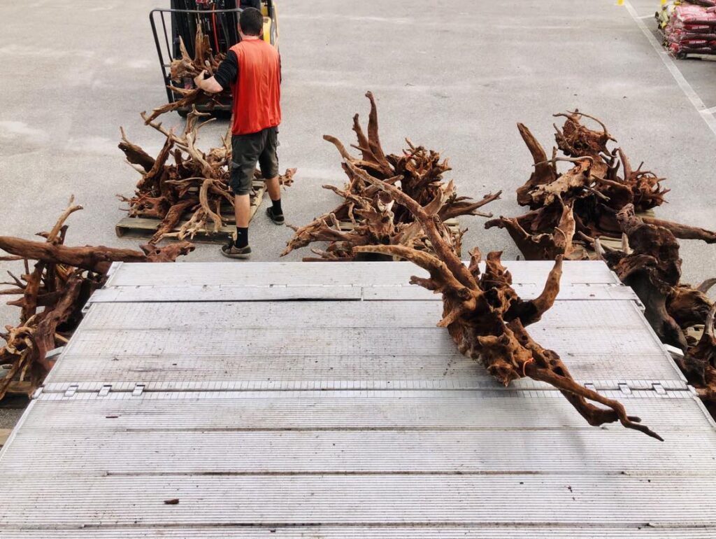 Florida Driftwood Delivery by Compass Rose January 2024