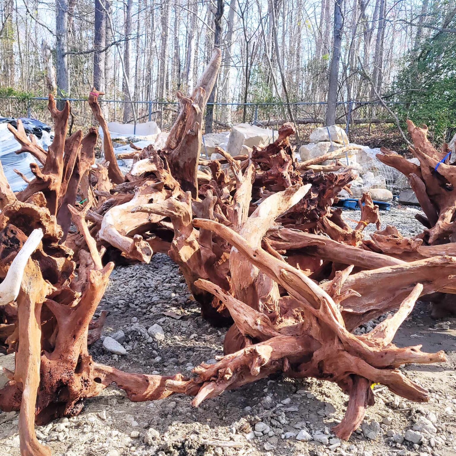 Driftwood Near Me Explore the Wonders of Beachcombing